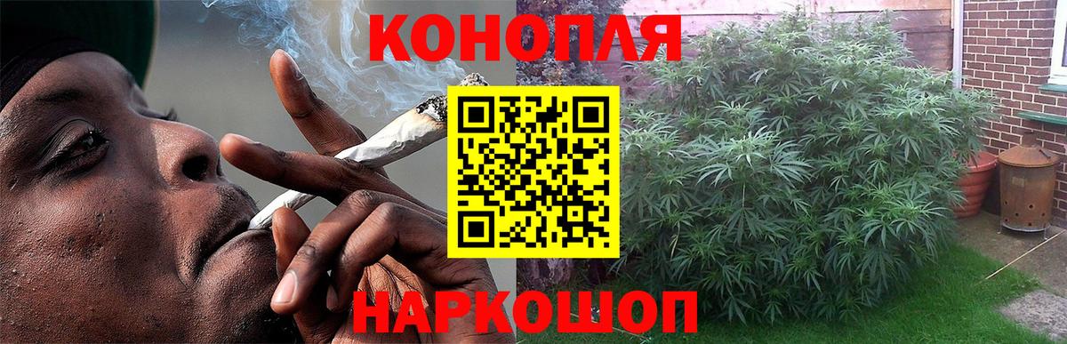 Бошки марихуана ГИДРОПОН  Вход с VPN  Марихуана тримм  Киржач  Бошки Шишки VHQ 